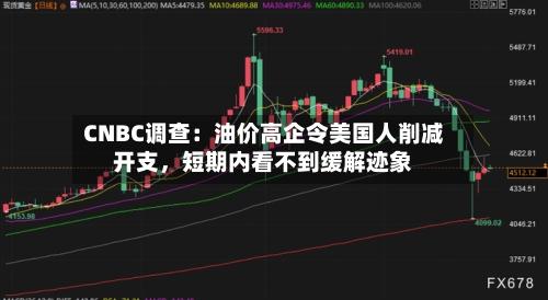 CNBC调查：油价高企令美国人削减开支，短期内看不到缓解迹象-第1张图片