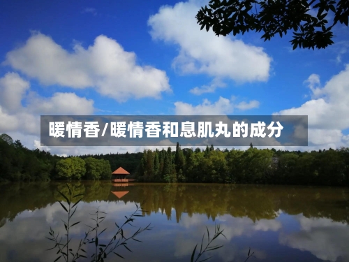 暖情香/暖情香和息肌丸的成分-第2张图片