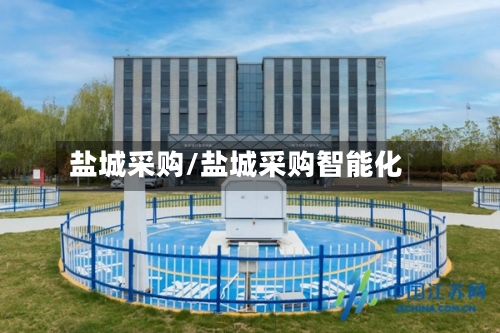 盐城采购/盐城采购智能化-第1张图片