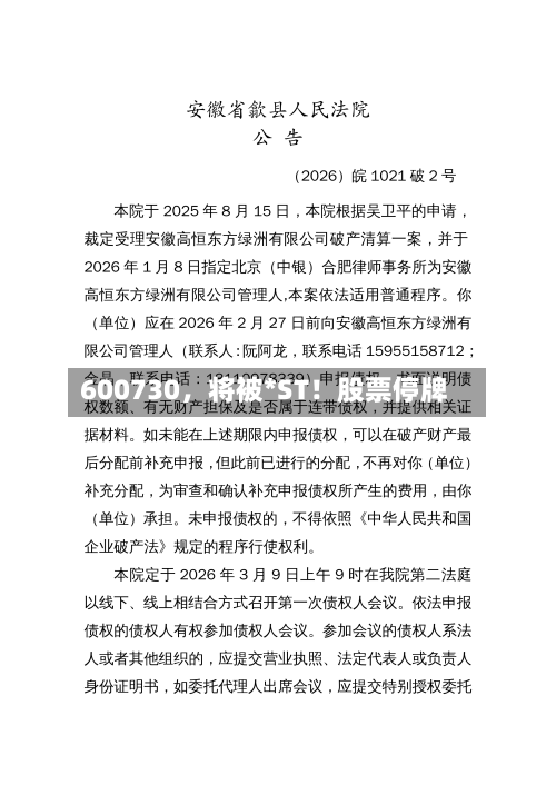 600730	，将被*ST！股票停牌-第2张图片