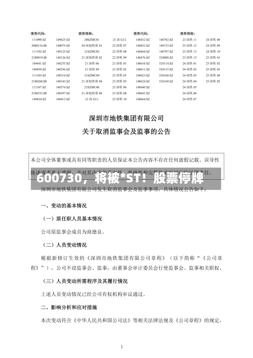 600730，将被*ST！股票停牌-第3张图片