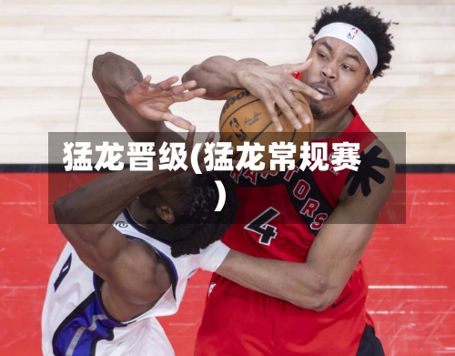 猛龙晋级(猛龙常规赛)-第2张图片