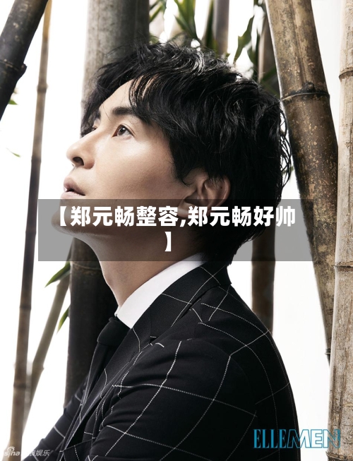 【郑元畅整容,郑元畅好帅】-第1张图片