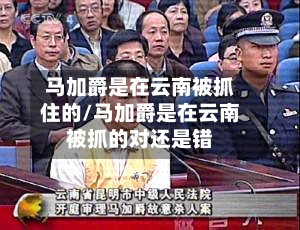 马加爵是在云南被抓住的/马加爵是在云南被抓的对还是错-第1张图片