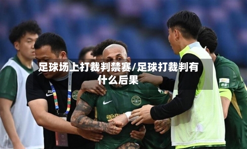 足球场上打裁判禁赛/足球打裁判有什么后果-第1张图片