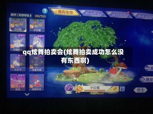 qq炫舞拍卖会(炫舞拍卖成功怎么没有东西啊)-第2张图片