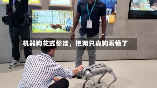 机器狗花式整活	，把两只真狗看懵了-第1张图片
