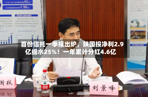 首份信托一季报出炉，陕国投净利2.9亿缩水25%！一年累计分红4.6亿-第1张图片