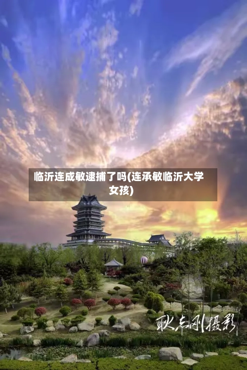 临沂连成敏逮捕了吗(连承敏临沂大学女孩)-第2张图片