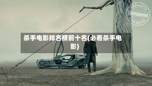 杀手电影排名榜前十名(必看杀手电影)-第1张图片