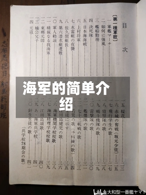 海军的简单介绍-第3张图片