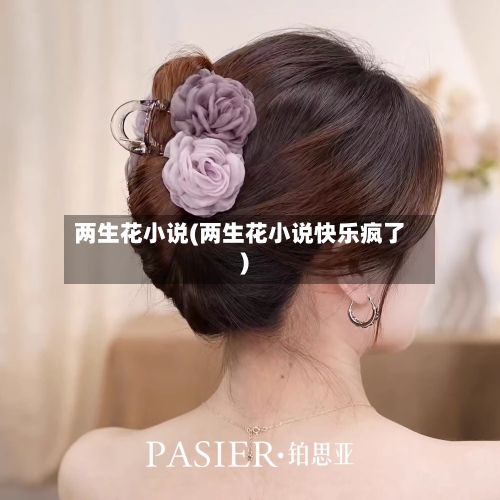 两生花小说(两生花小说快乐疯了)-第3张图片