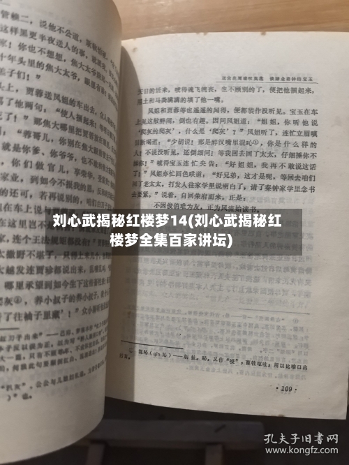 刘心武揭秘红楼梦14(刘心武揭秘红楼梦全集百家讲坛)-第1张图片