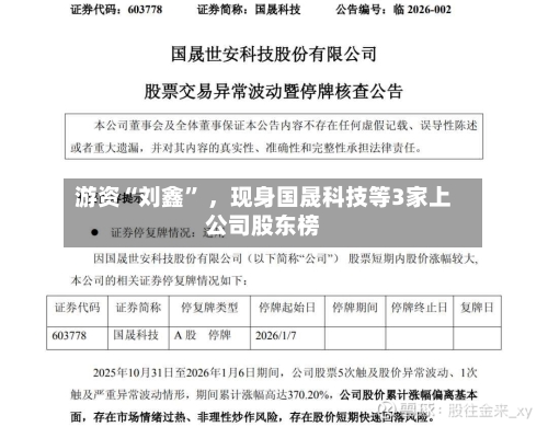 游资“刘鑫	” 	，现身国晟科技等3家上公司股东榜-第3张图片