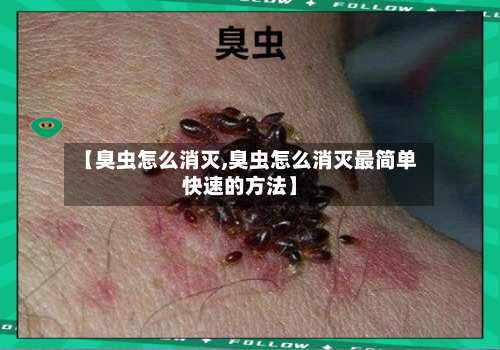 【臭虫怎么消灭,臭虫怎么消灭最简单快速的方法】-第3张图片