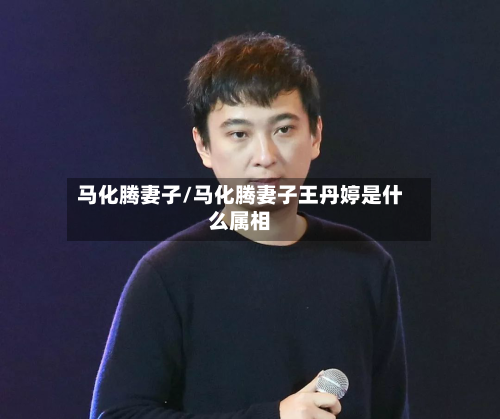 马化腾妻子/马化腾妻子王丹婷是什么属相-第2张图片