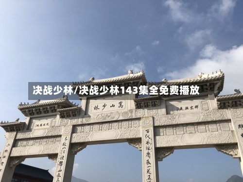 决战少林/决战少林143集全免费播放-第2张图片