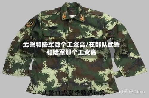 武警和陆军哪个工资高/在部队武警和陆军那个工资高-第1张图片
