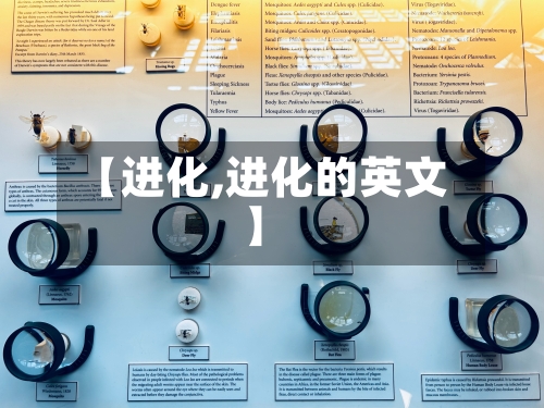 【进化,进化的英文】-第3张图片