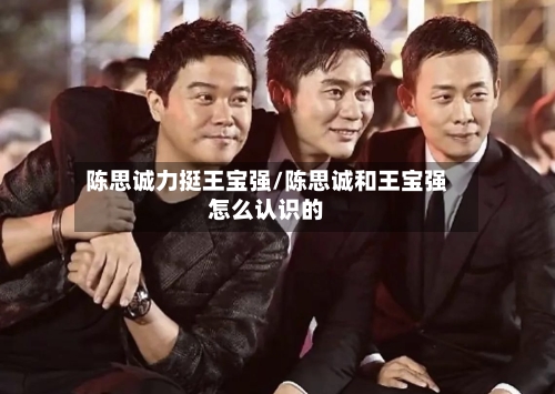陈思诚力挺王宝强/陈思诚和王宝强怎么认识的-第3张图片