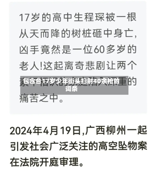包含台17岁少年街头扫射40余枪的词条-第2张图片