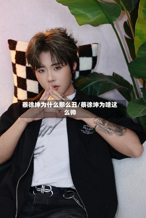 蔡徐坤为什么那么丑/蔡徐坤为啥这么帅-第2张图片