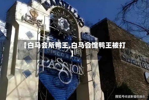 【白马会所鸭王,白马会馆鸭王被打】-第2张图片