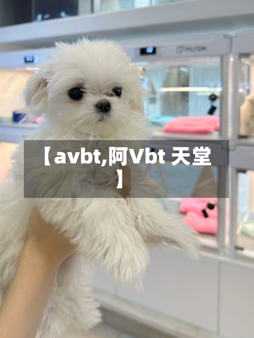 【avbt,阿Vbt 天堂】-第2张图片