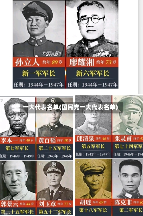 一大代表名单(国民党一大代表名单)-第1张图片