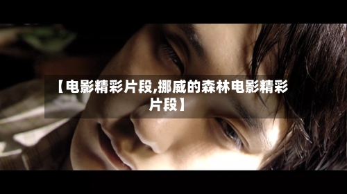 【电影精彩片段,挪威的森林电影精彩片段】-第3张图片