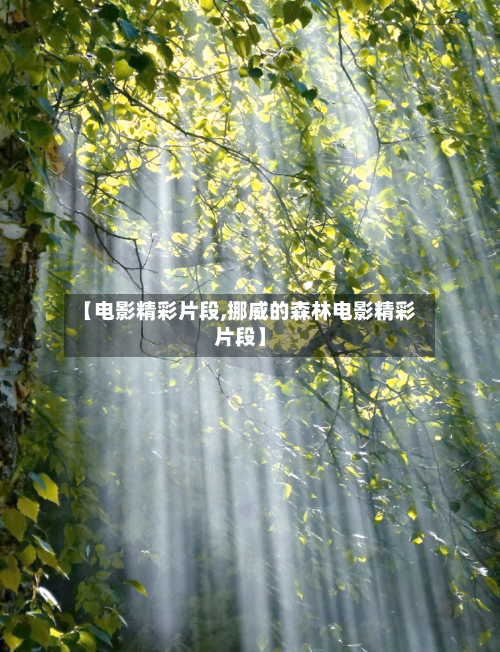 【电影精彩片段,挪威的森林电影精彩片段】-第2张图片