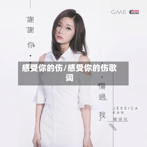 感受你的伤/感受你的伤歌词-第1张图片