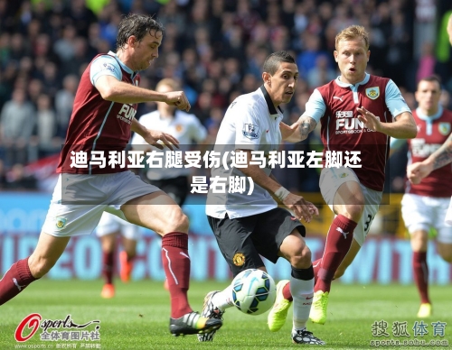 迪马利亚右腿受伤(迪马利亚左脚还是右脚)-第1张图片