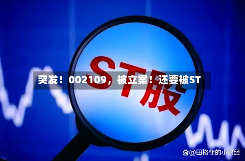 突发！002109，被立案！还要被ST-第1张图片