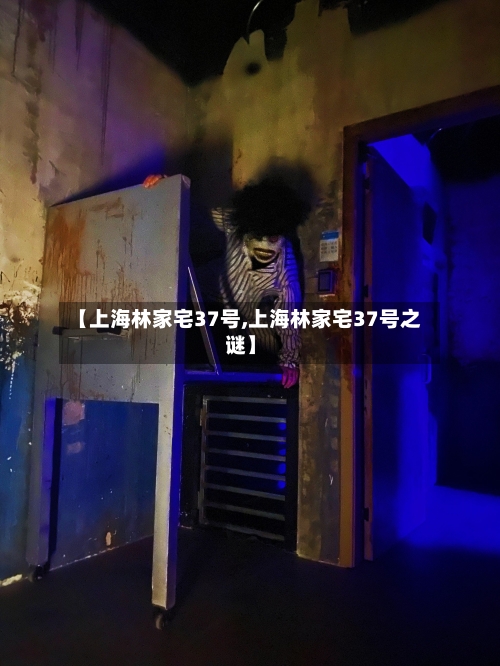 【上海林家宅37号,上海林家宅37号之谜】-第2张图片