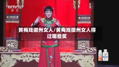 黄梅戏徽州女人/黄梅戏徽州女人得过哪些奖-第3张图片