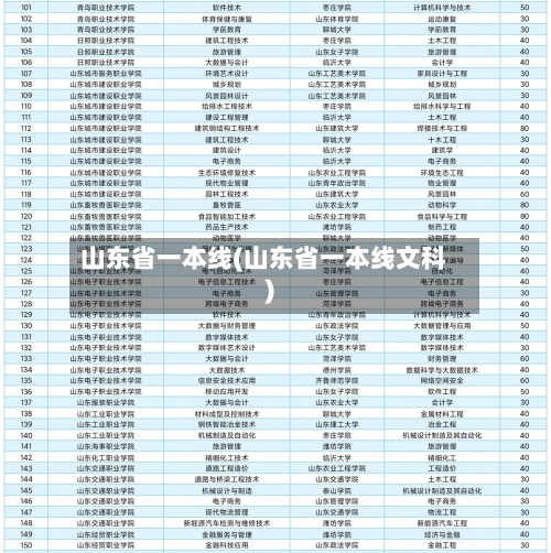 山东省一本线(山东省一本线文科)-第2张图片