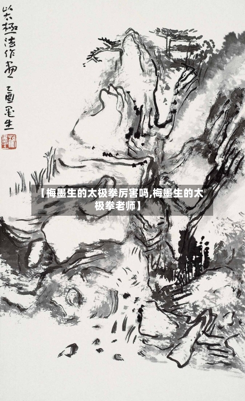 【梅墨生的太极拳厉害吗,梅墨生的太极拳老师】-第1张图片