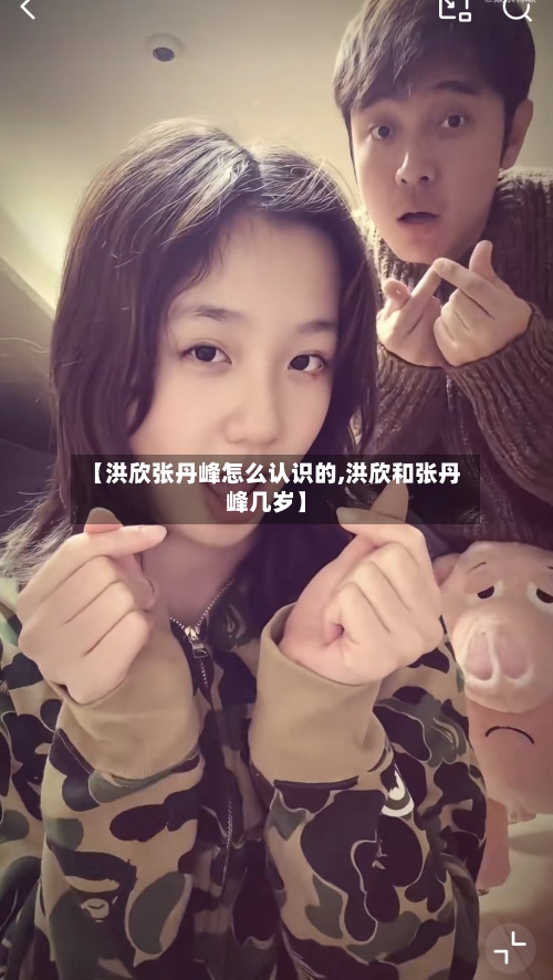 【洪欣张丹峰怎么认识的,洪欣和张丹峰几岁】-第2张图片