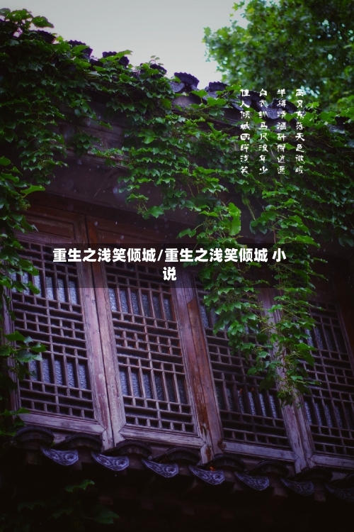 重生之浅笑倾城/重生之浅笑倾城 小说-第1张图片