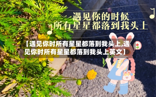 【遇见你时所有星星都落到我头上,遇见你时所有星星都落到我头上英文】-第2张图片