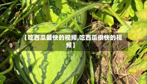 【吃西瓜最快的视频,吃西瓜很快的视频】-第3张图片