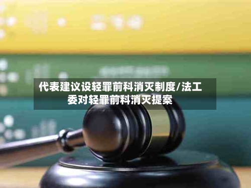 代表建议设轻罪前科消灭制度/法工委对轻罪前科消灭提案-第1张图片