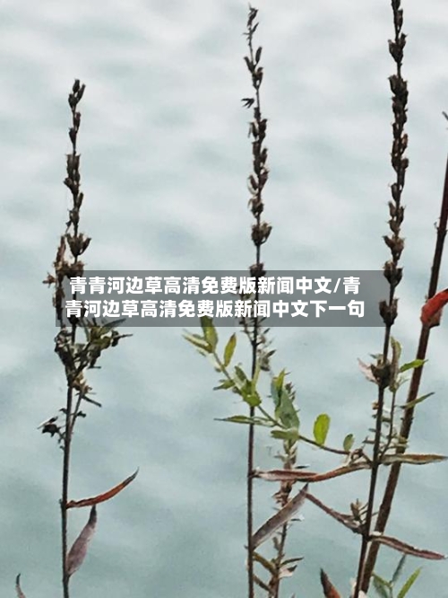 青青河边草高清免费版新闻中文/青青河边草高清免费版新闻中文下一句-第2张图片
