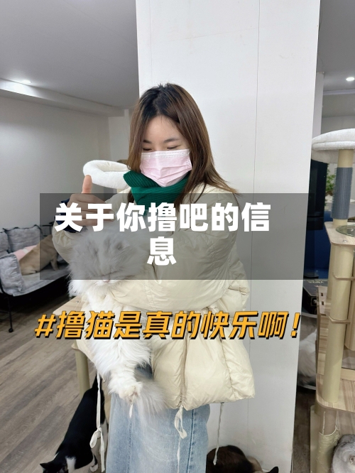 关于你撸吧的信息-第1张图片