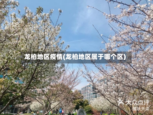 龙柏地区疫情(龙柏地区属于哪个区)-第1张图片