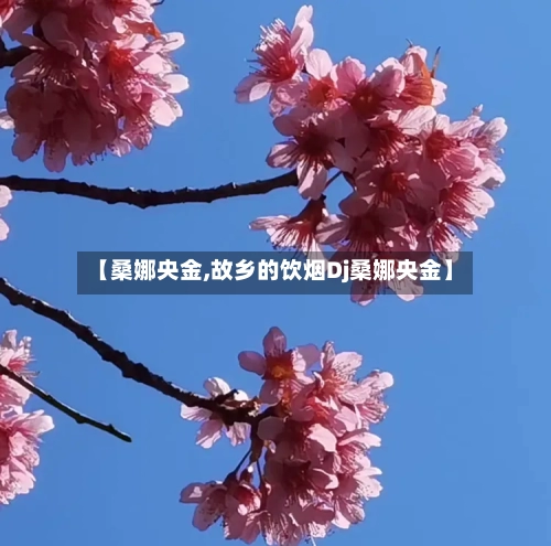 【桑娜央金,故乡的饮烟Dj桑娜央金】-第2张图片