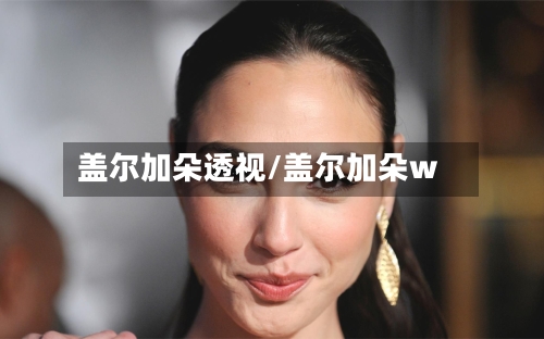 盖尔加朵透视/盖尔加朵w-第2张图片