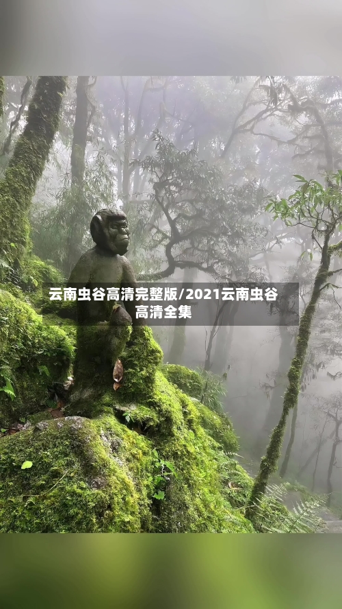 云南虫谷高清完整版/2021云南虫谷高清全集-第1张图片