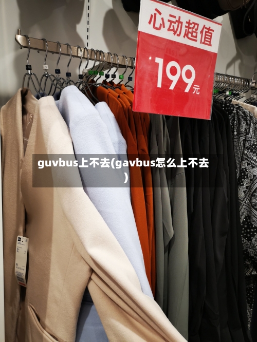 guvbus上不去(gavbus怎么上不去)-第3张图片